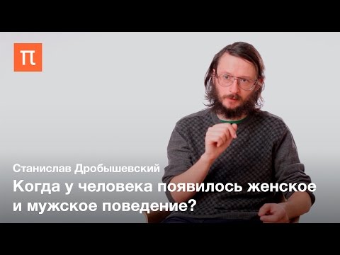 Видео: Половой диморфизм у приматов и древних людей — Станислав Дробышевский