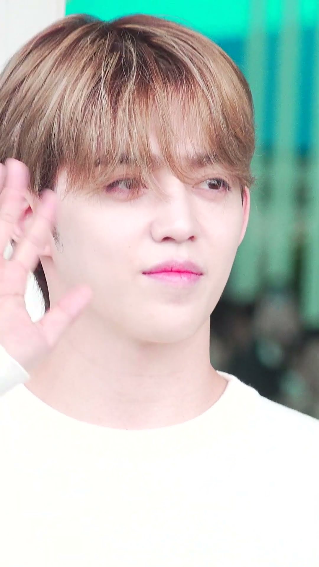 승승장구하는 승철이 미모 #에스쿱스