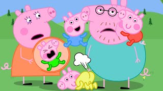 Mummy Pig Has Many Baby! What happened? | Peppa Pig Funny Animation