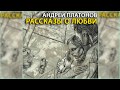 Рассказы о любви, Андрей Платонов радиоспектакль слушать онлайн