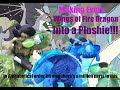 Making every wings of fire dragon into a plush part 6