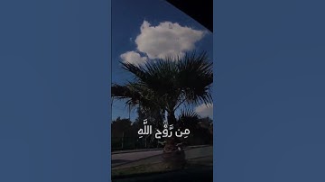 انه لا ييأس من روح الله الا القوم الكافرون} #سورة_يوسف #الاية #87 #قرآن