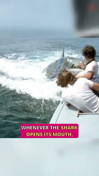 Did You Notice This In JAWS 2? #shorts