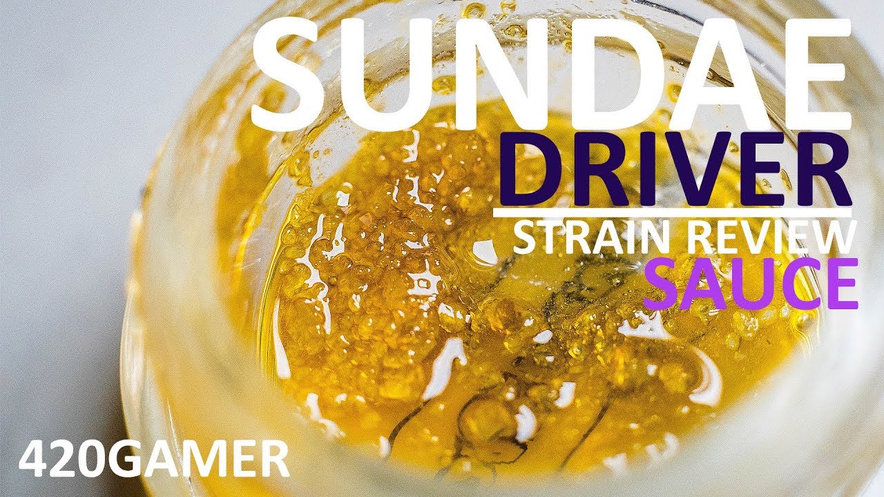 Sundae Driver Strain Review 🍾 - Live Resin Sauce - Quail Extracts 