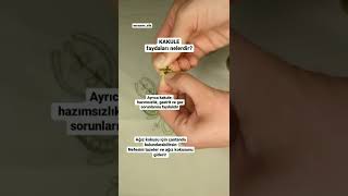 Diyet Yapanların Dikkatine - Şeker Krizlerinde Kakule Deneyin