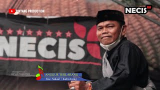 ANGGUR TELARANG - KEBO IRENG,  NECIS