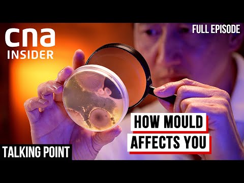 Is Mould In
