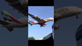 Airbus art💀☠️ #edit #aviation #airbus #art #airplane #airplanes