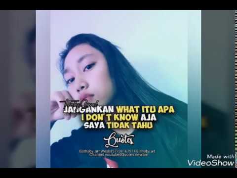 Quotes Newbie Jawa Lucu Kata Kata Mutiara