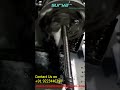 Video Image