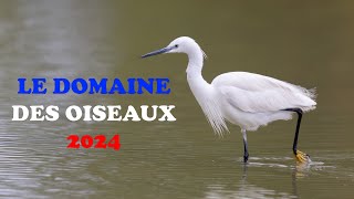 Retour au Domaine Des Oiseaux en 2024