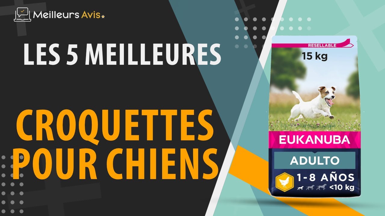 💥 Meilleures barrières pour chien 2024 - guide d'achat et comparatif