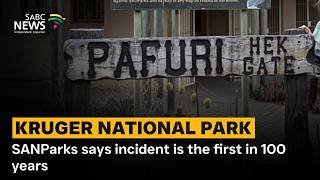 Kruger National Park Tragedy | SANParks says incident is the first in 100 years