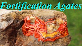 Bright Red Fortification Agate Hunt Cut Rockhounding in South Dakota for Teepee Canyon Agates