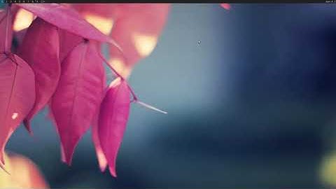 Linux Mint: dwm testing and playing around