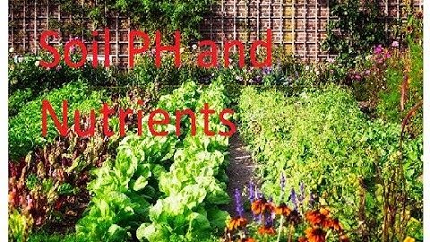 Soil PH and Nutrients