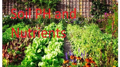 Soil PH and Nutrients
