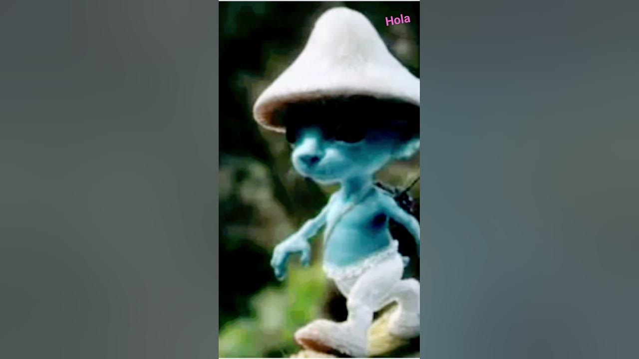 smuf cat - YouTube