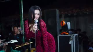 BOJO LORO NANA BANANA | AMELIA MUSIC HAPPY WEDDING | SUPARMAN & SULASTRI | BM AUDIO
