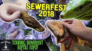 TOURING SEWERFEST REPTILE EXPO! (August, 2018)