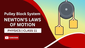 Pulley Block System | Newton