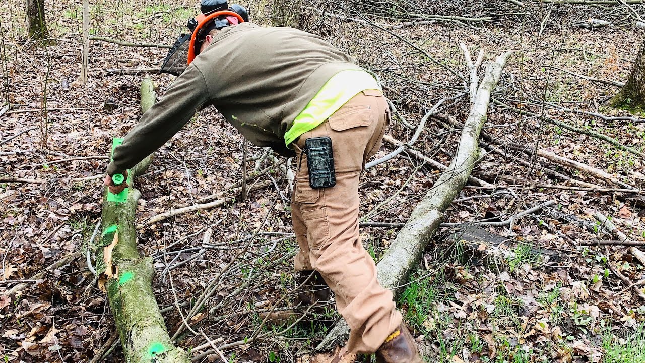Mingo Marker review Zach tests his new firewood log marker YouTube