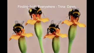 Celebrity Finding Truth Everywhere   Trina Dawn Profile