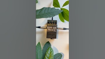 The Boss RV-6 is not only a reverb pedal, but also a great shimmer/delay #bossrv6  #bosspedals #rv6