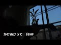 BBHF cover 『かけあがって』弾き語り