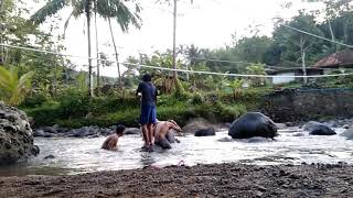Mandi Di Sungai Jernih