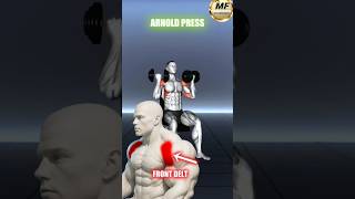 🔥💪Build bigger shoulders & trap with just dumbbell