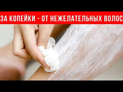 Видео: Как ввести нового ребенка в гипер-собаку