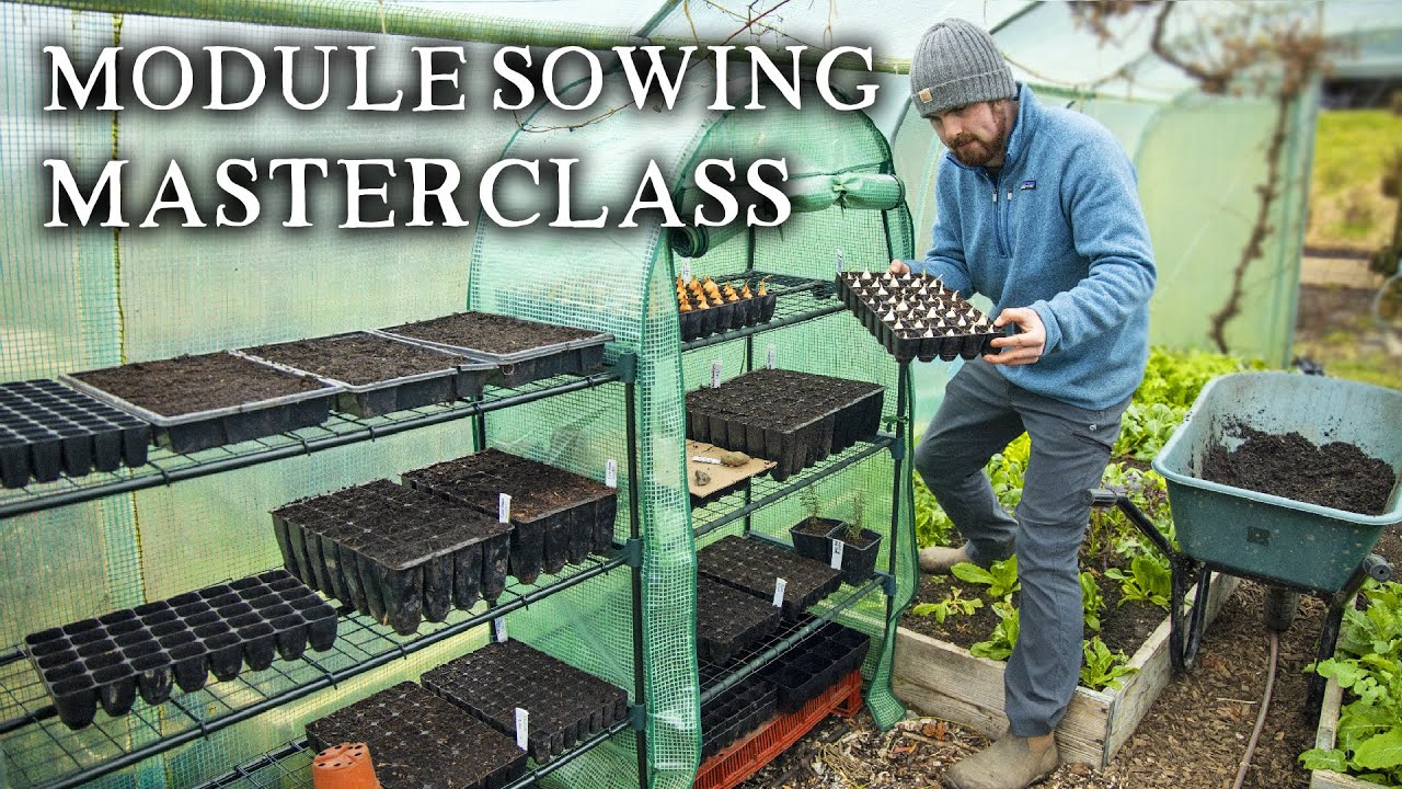 Download How to Sow Seeds in Modules the No-Nonsense Way