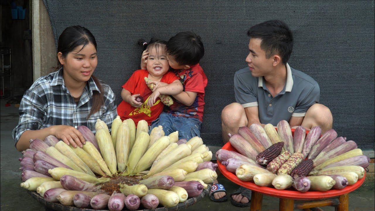 Harvest purple sticky corn, boil it and sell it to the whole village, the family's daily life