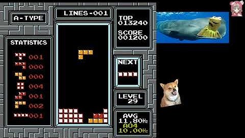 11 Lines on NES Tetris Level 29 Current PB