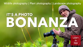 A Diverse Collection of Images - Nature and Landscape Photography