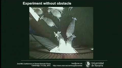 Multiple Speakers | Clogging in bottlenecks: from inert particles to active matter