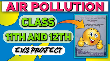 Air Pollution Evs Project|Class 11th And 12th|Full Description|With PDF😍