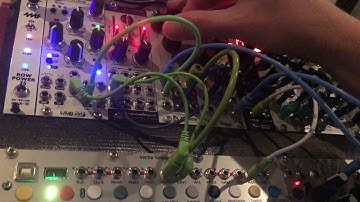 Disting EX. Augustus Loop. Five12 Vector Sequencer. Contour 1. WMD Spectrum.