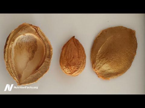 Video: Co způsobuje leukostom u meruněk: Jak léčit příznaky rakoviny meruňkového leucostomu