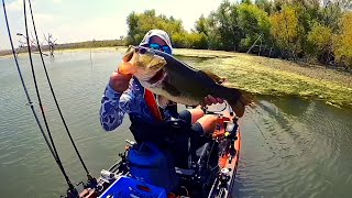 Big Bass on Choke Canyon Reservoir (Kayak fishing)