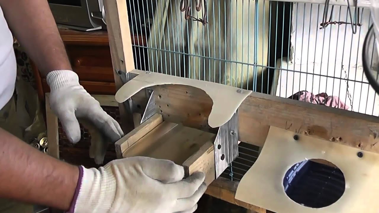 Клетка для цыплят бройлеров – как сделать своими руками, размеры и чертежи