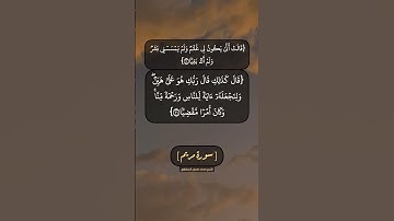 سورة مريم الآية ٢٠ الى ٢٣ بصوت الشيخ محمد صديق المنشاوي