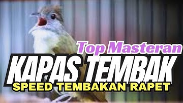KAPAS TEMBAK GACOR SANG GURU VOKAL & TOP MASTERAN