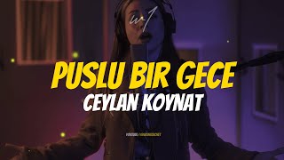 Ceylan Koynat - Puslu Bir Gece (Lyrics) Resimi