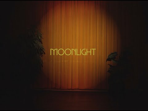 Смотреть клип Léon - Moonlight
