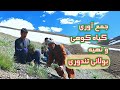 زندگی در روستا| طرز تهیه بولانی تندوری از گیاه کوهی در دهات| Afghan Village life