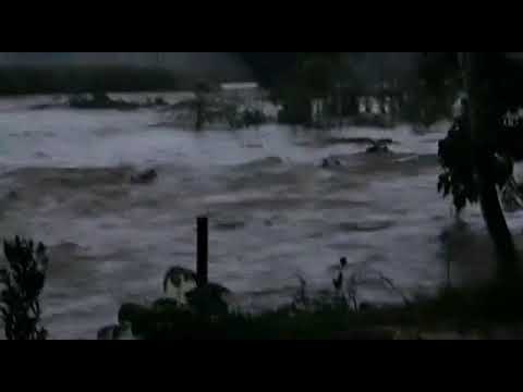 Vídeo: Temporal em Grão-Pará causou estragos e a morte de animais