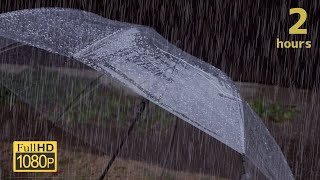 傘に当たる雨の音でリラックスする2時間