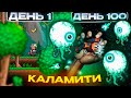 100 Дней В Каламити За Воина